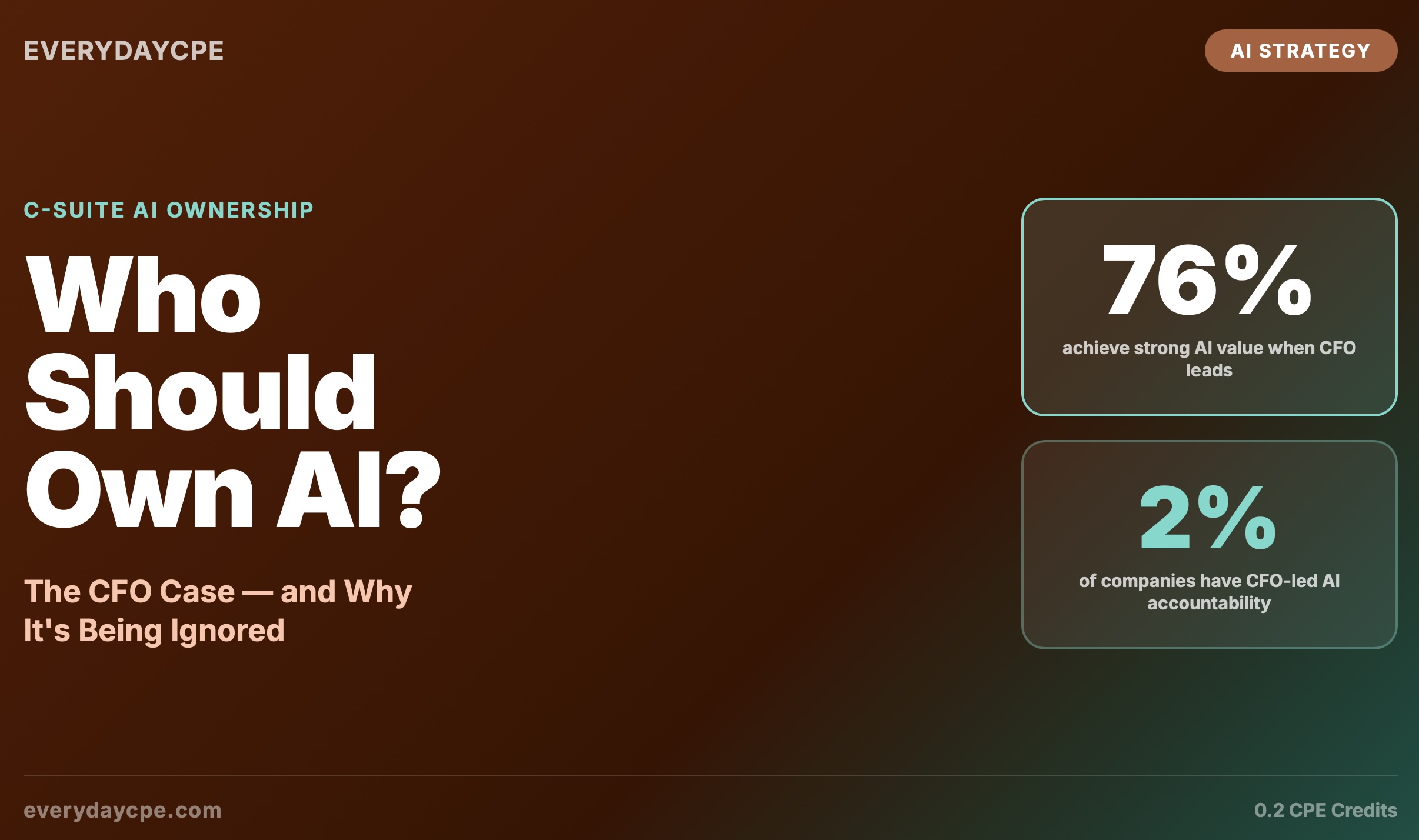 Who Should Own AI? The CFO Case